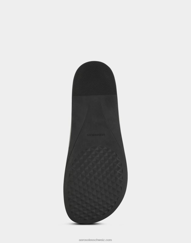 CH AerosolesDayna BlackR0V8T296